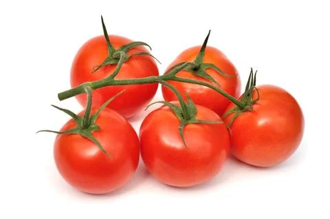 Tomatoes on branch isolated Foto stock
