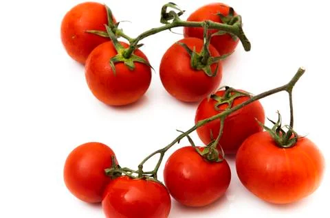 Tomatoes with branch Stock Photos