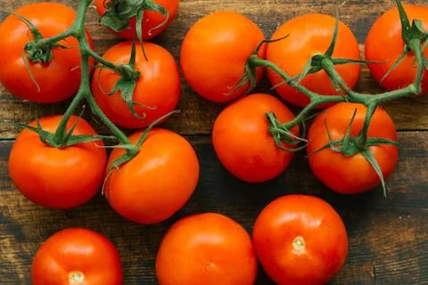Tomatoes with branch Stock Photos