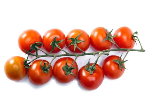 Tomatoes on a branch Stock Photos