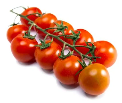 Tomatoes on a branch.. Foto stock