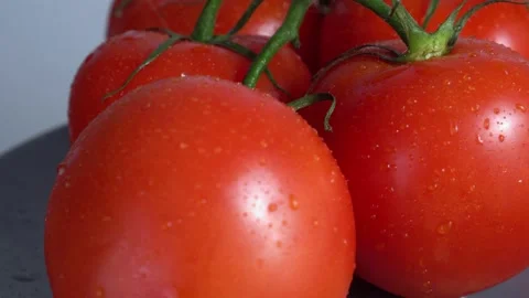 Tomatoes on a branch rotate closeup Stock Footage 135407414