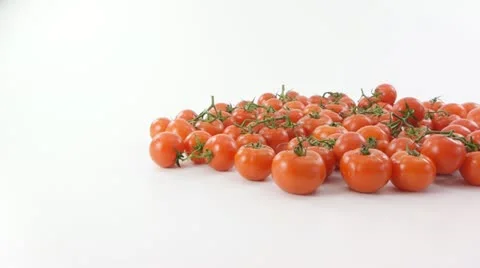 Tomatoes branches on a white background Stock Footage 21997343