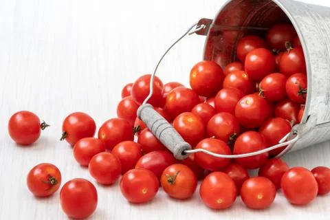 Tomatoes in bucket,close-up Stock Photos