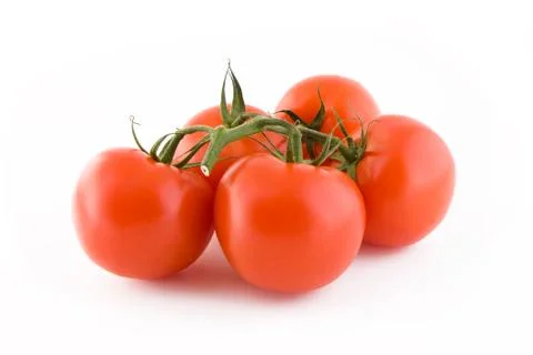 Tomatoes bunch Stock Photos