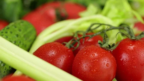 Tomatoes, celery and cucumbers Stock Footage 122574712