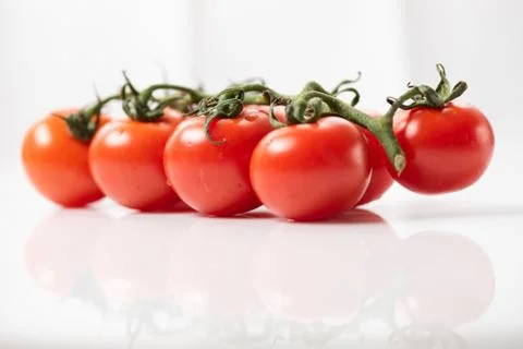 Tomatoes cherry isolated on white mirror background Stock Photos