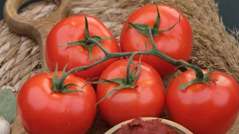 Tomatoes close up Stock-Footage 260162740