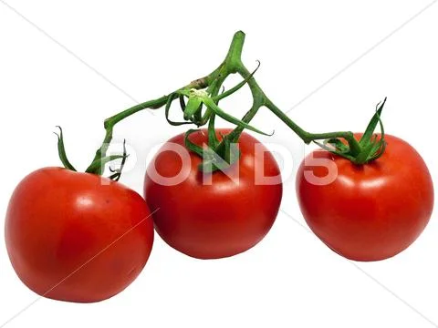 Tomatoes close up isolated on white background Stock Photos