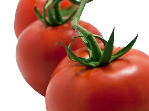 Tomatoes close up 库存照片
