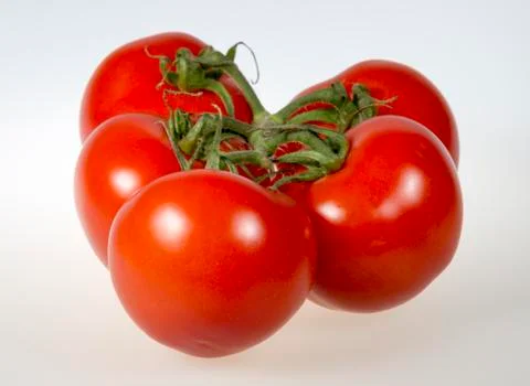 Tomatoes Close Up Stock-Fotos