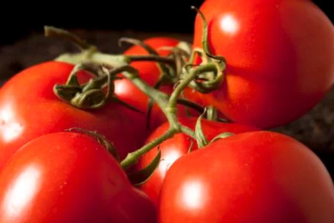 Tomatoes Close-Up Stock Photos