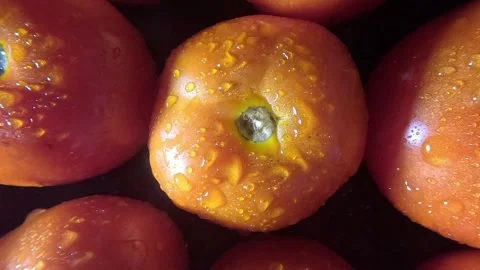 Tomatoes Close up Shot - Leftwards Stock-Footage 282043590