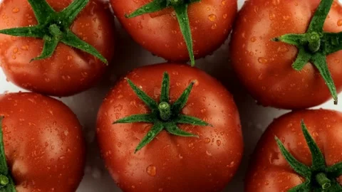 Tomatoes close-up. Tomatoes with drops of water. Stock Footage 204732337