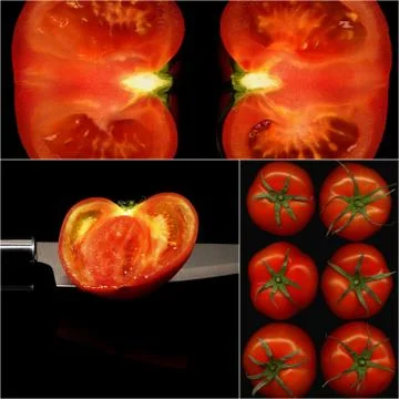 Tomatoes collage Stock Photos