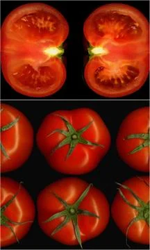 Tomatoes collage Stock Photos