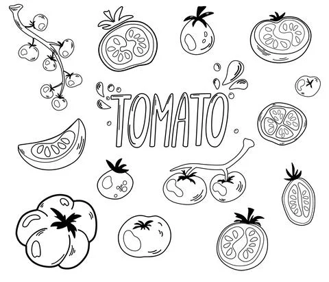 Tomatoes contours set. Tomatoes, slices, halves, cherry tomatoes and a bouque Stock Illustration