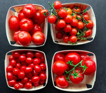 Tomatoes, different varieties on a dark background. Stock Photos