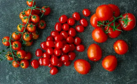 Tomatoes, different varieties on a dark background. Stock Photos