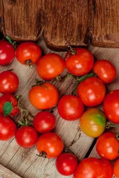 Tomatoes different varieties. Many different tomato in summer day. 스톡 사진