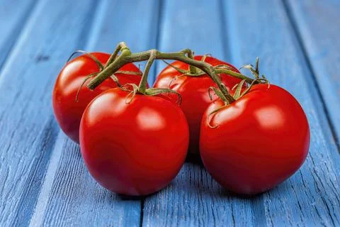 Tomatoes displayed with the vine. Stock Photos