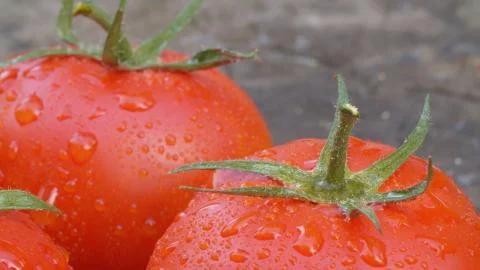 Tomatoes in drops of water Stock Photos