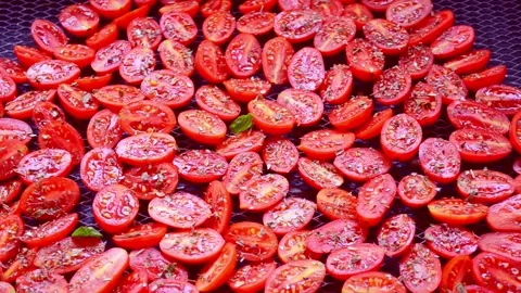 Tomatoes drying process Stock Footage 218419437