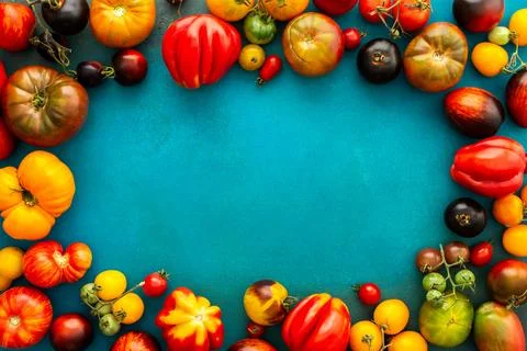 Tomatoes on an emerald green background Stock Photos
