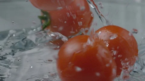 Tomatoes fall in water over a light background. Slow motion Vídeo Stock 104631006