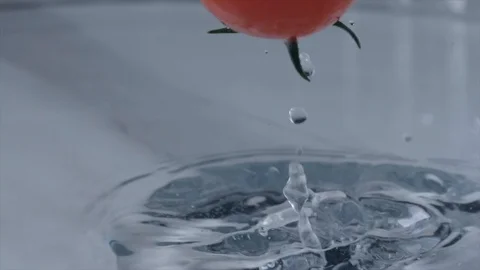 Tomatoes fall in water over a light background. Slow motion Stock Footage 104631064