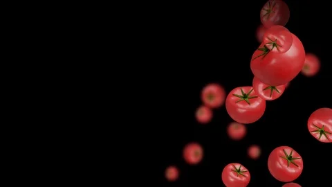 Tomatoes falling on black background. copy space right side Stock Footage 116633090