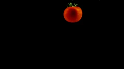 Tomatoes falling down from above in slow motion in the water Stock Footage 108008179
