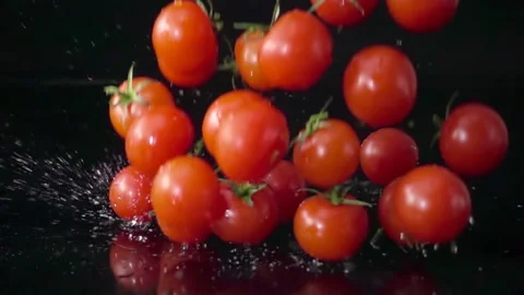 Tomatoes falling slow motion Video stock 105278614
