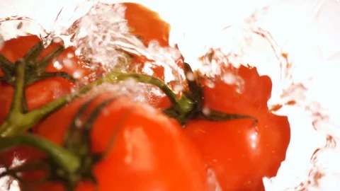 Tomatoes falling into water. Stock Footage 97003707