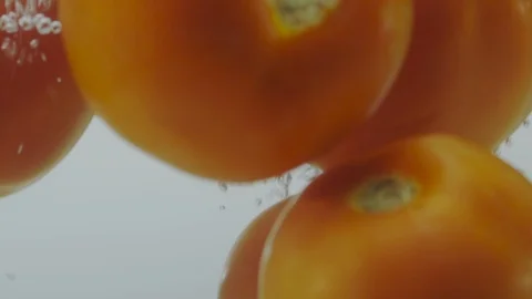 Tomatoes falling in water Stock Footage 98299788