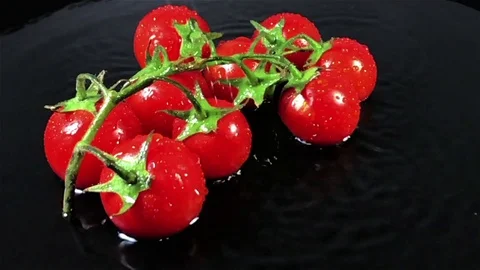 Tomatoes falling into water super slow motion shot against black background Stock-Footage 75291623