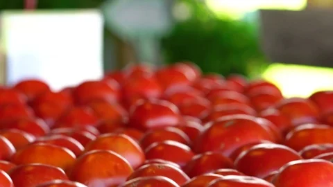 Tomatoes at Farmers Marker Stock Footage 79212313