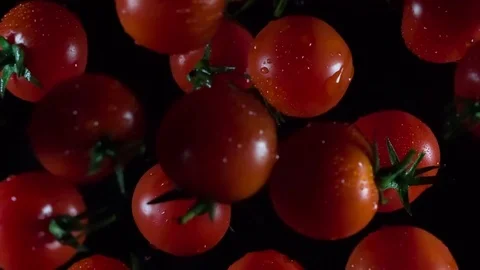 Tomatoes in Flight HD Pro Stock Footage 73604070