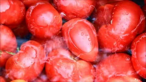 Tomatoes floating in water Stock Footage 77863074