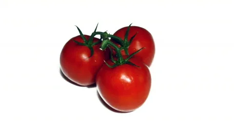 Tomatoes Video stock 523292