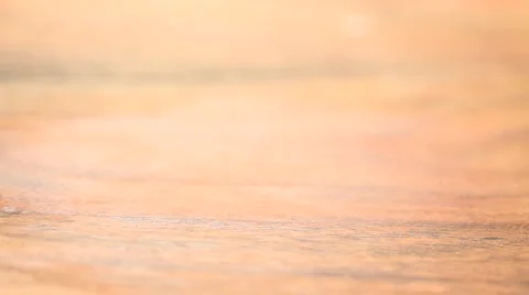 Tomatoes Stock Footage 1055207