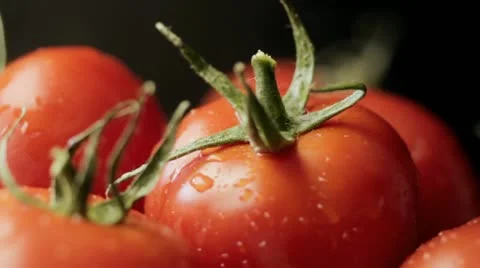 Tomatoes 스톡 동영상 11943493
