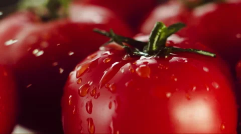 Tomatoes Stock Footage 46142321