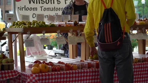 TOMATOES 스톡 동영상 102751038