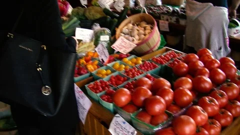 Tomatoes Stock Footage 108554854