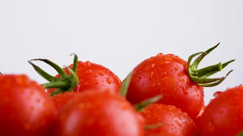 Tomatoes Stock Footage 144245119