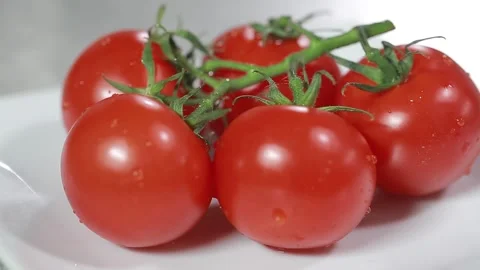 Tomatoes Stock Footage 154764441