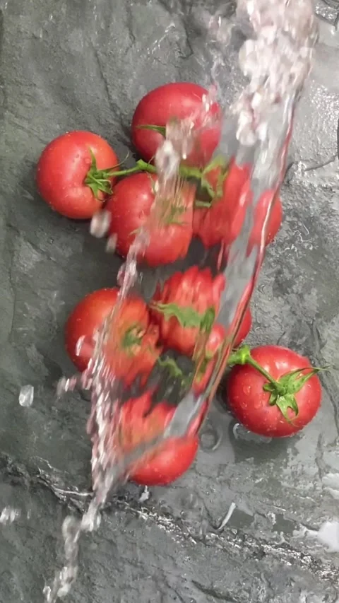 Tomatoes Stock Footage 168602481