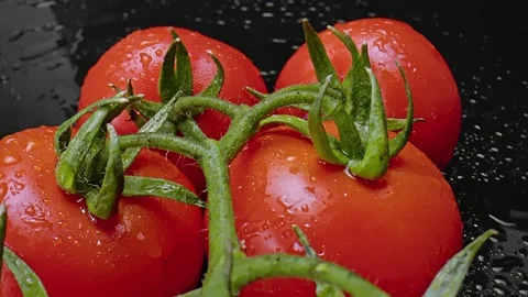 Tomatoes Stock Footage 219650248