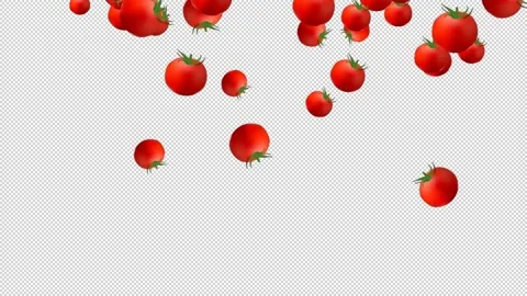 Tomatoes Stock Footage 230976671